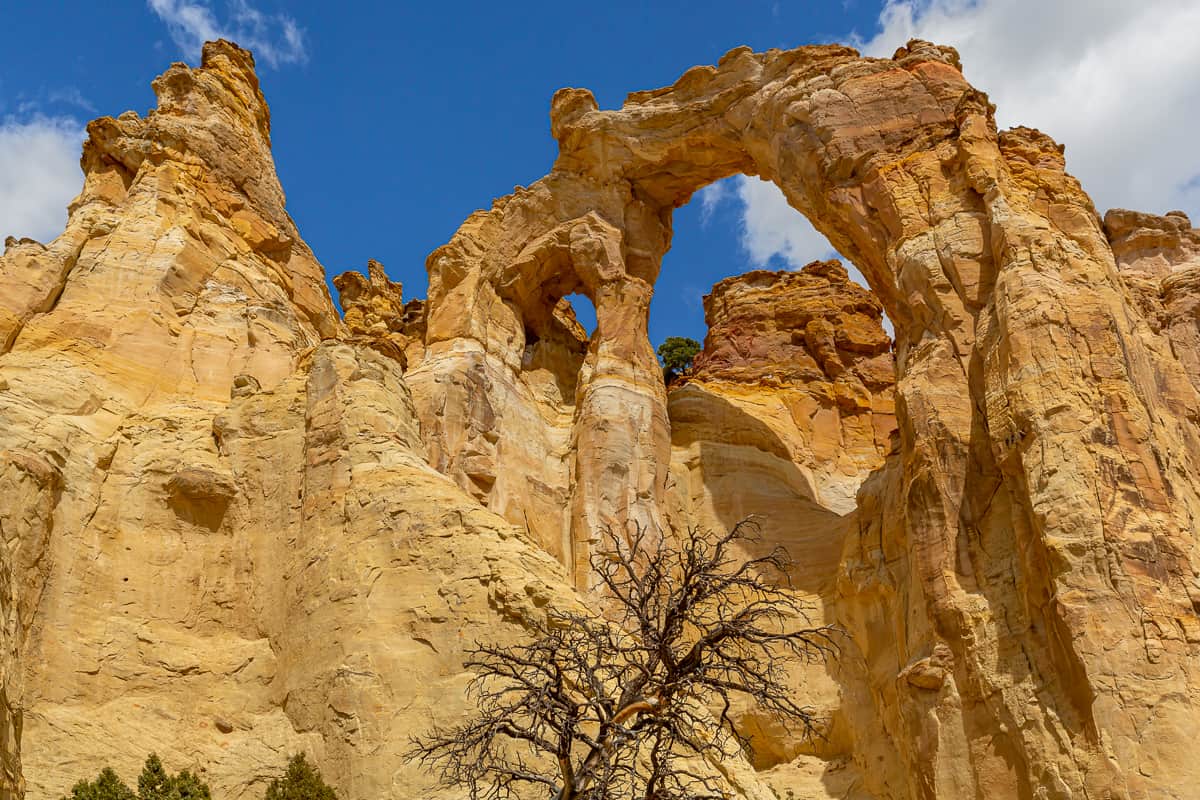 Grosvenor Arch Escalante