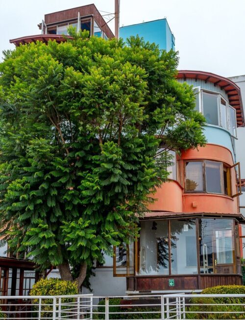 La Sebastiana