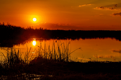 Okavango Sunset