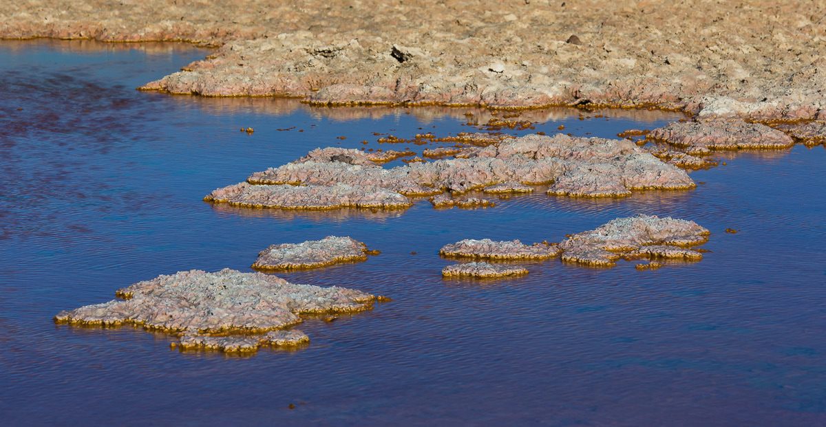 Salar de Atacama