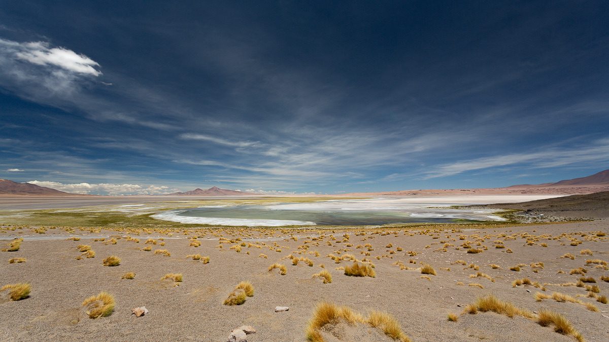Salar Tara